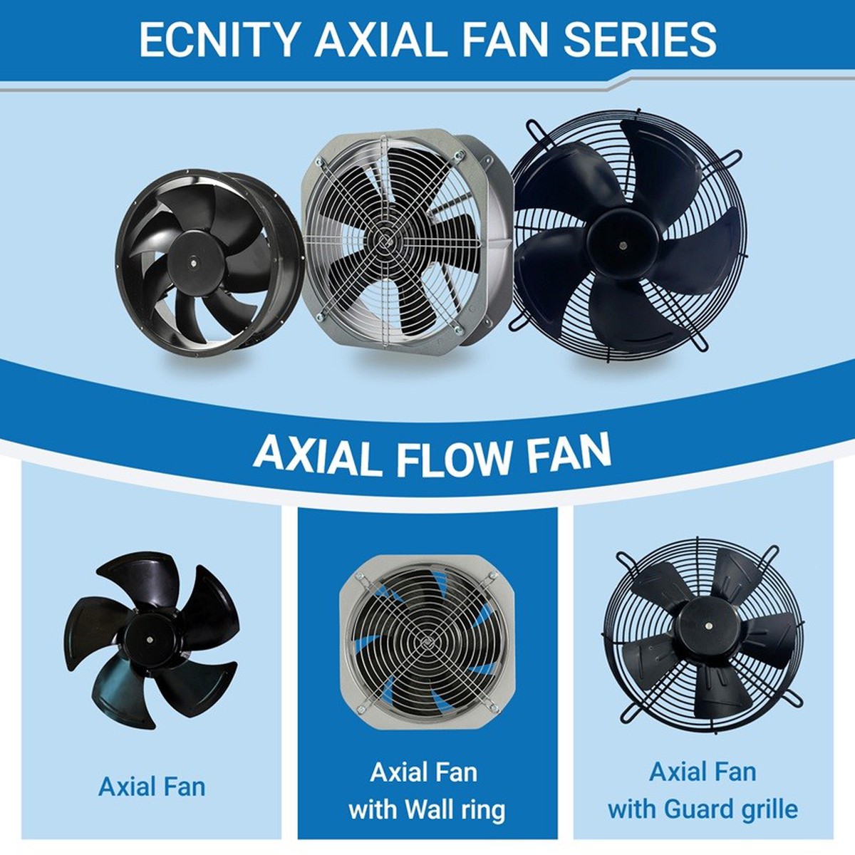 product-850-850 product-850-850